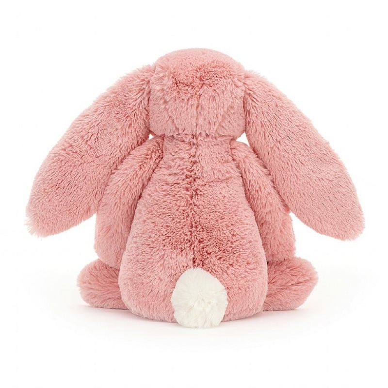 Tiny Jelly Cats Bashful Petal Bunny | WVD-370429